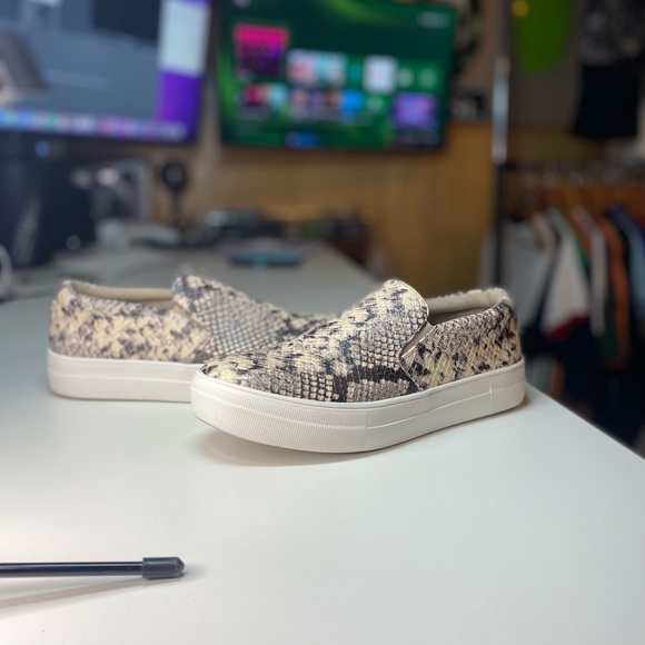 Steve Madden
Sneakers Gills Snake Embossed
Platform Sneakers Beige/Snake - Picture 1 of 9